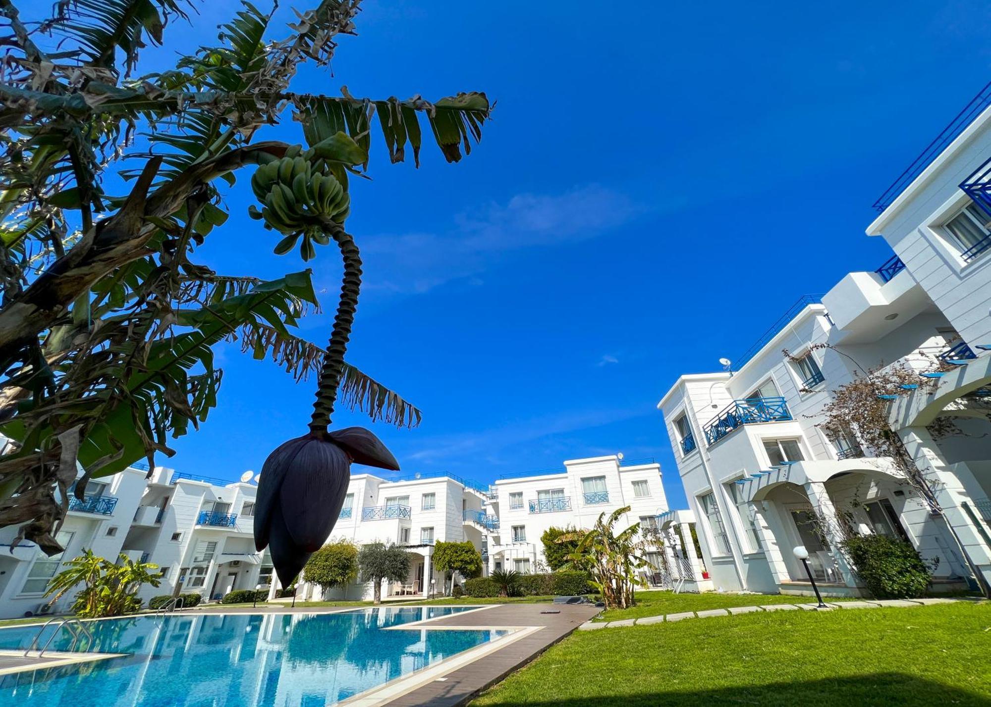 Garden Loft Apt With Pool In Alsancak Kyrenia Kyrenia  Exteriör bild